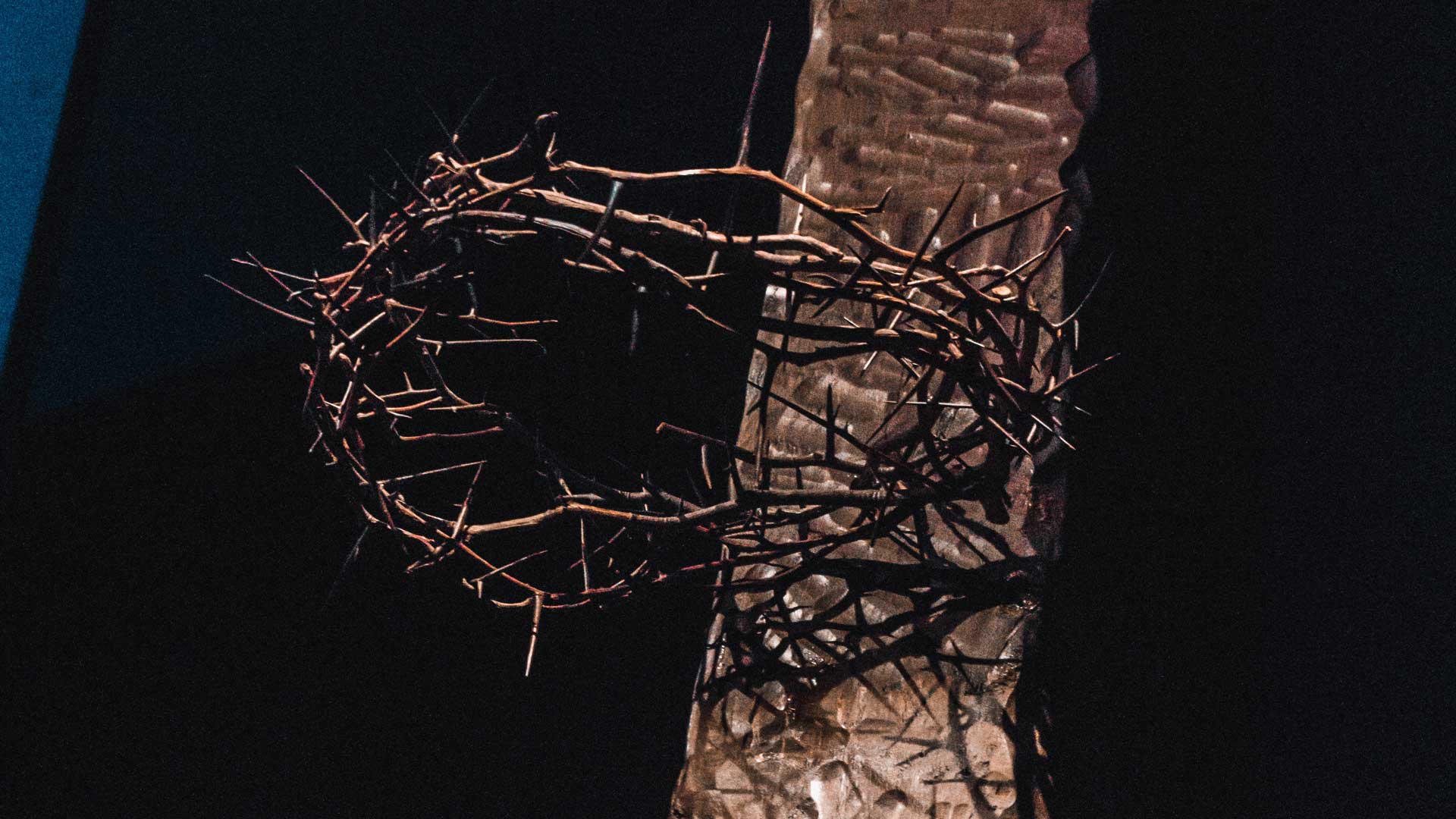 Lent-crown-of-thorns