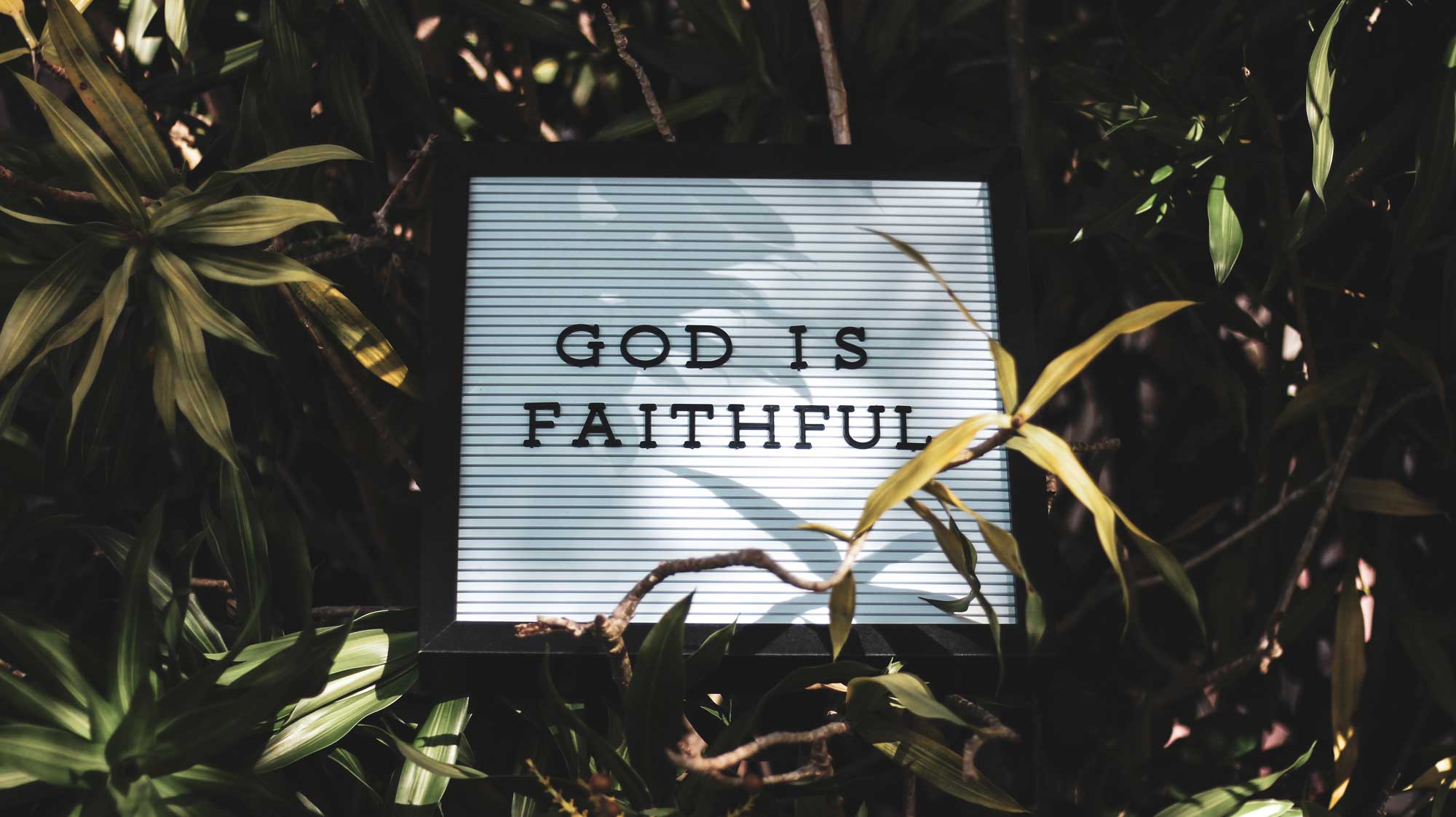 God-Is-Faithfull